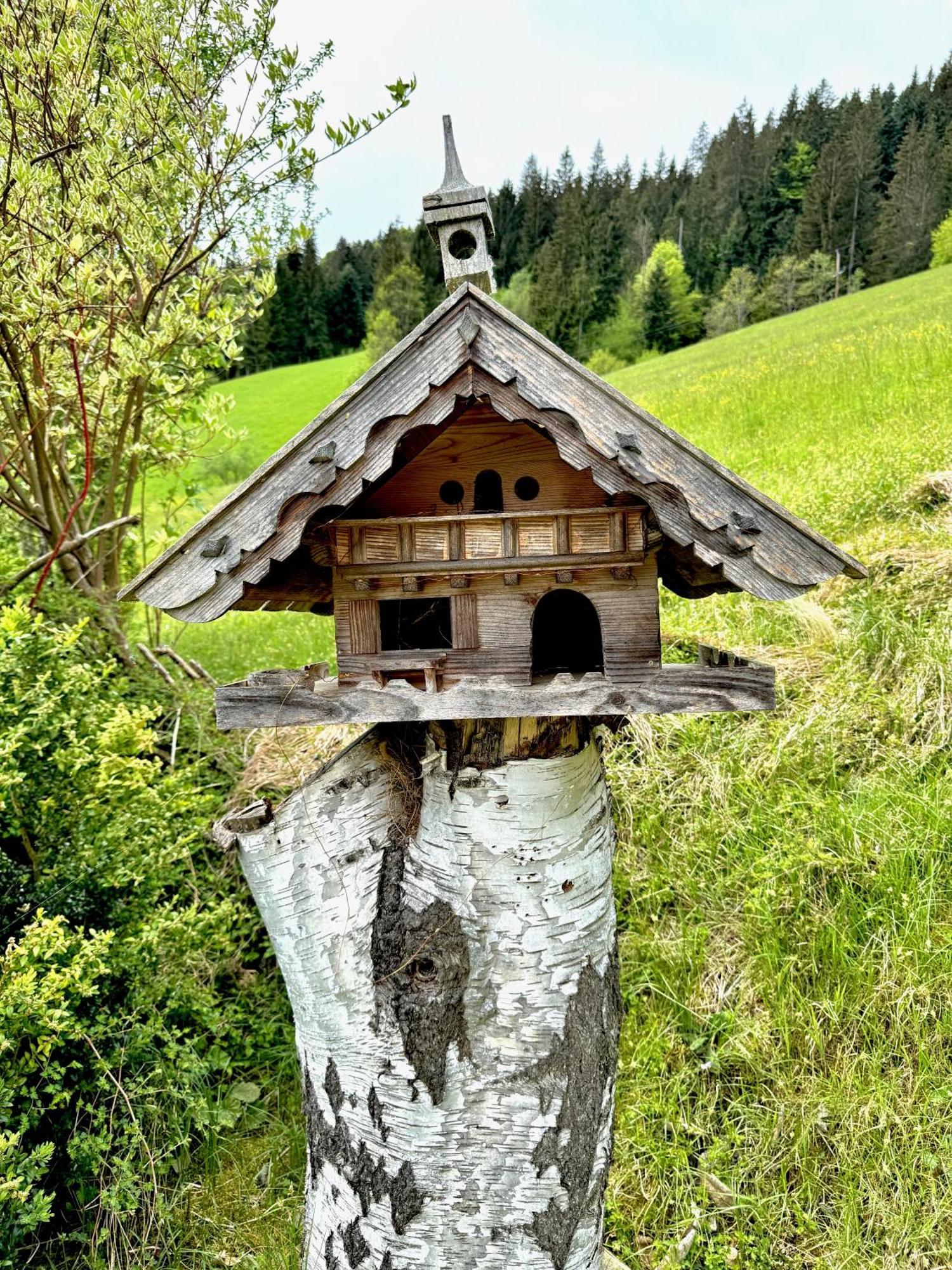 5* Panorama Chalet Mit Sauna By Belle Stay Going am Wilden Kaiser Экстерьер фото